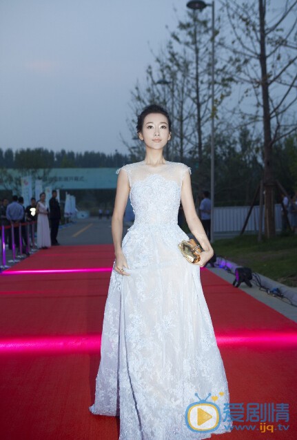 王鸥活动照 王鸥个人资料介绍简介王鸥活动照