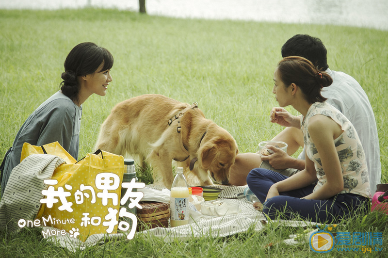 张钧甯《我的男友和狗》剧照 张钧甯高清写真_张钧甯高清剧照