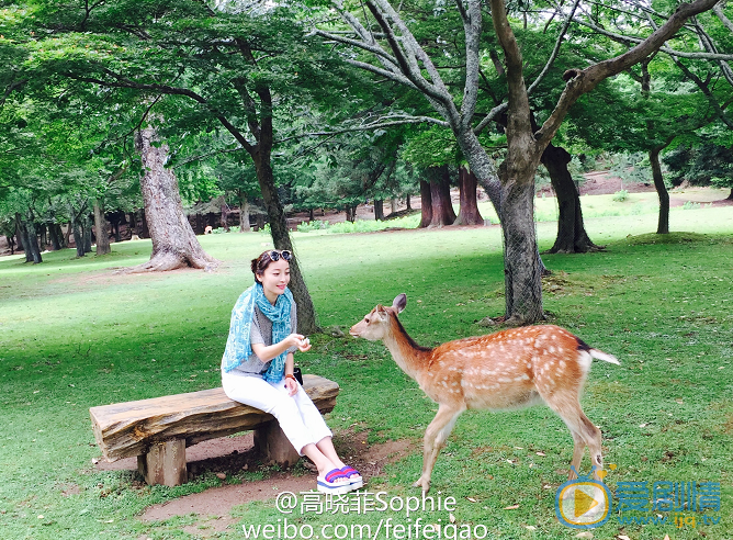 高晓菲生活照 高晓菲高清写真_高晓菲高清剧照