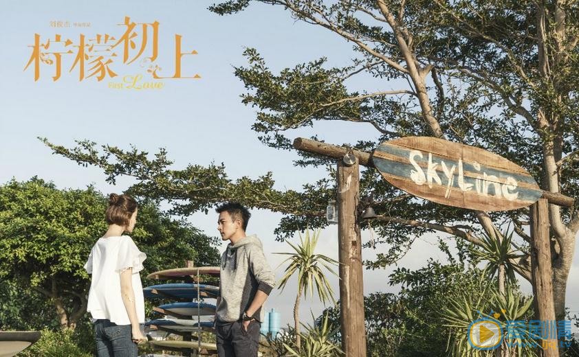 柠檬初上剧照