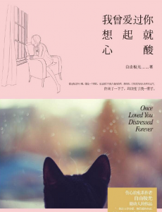 我曾爱过你想起就心酸