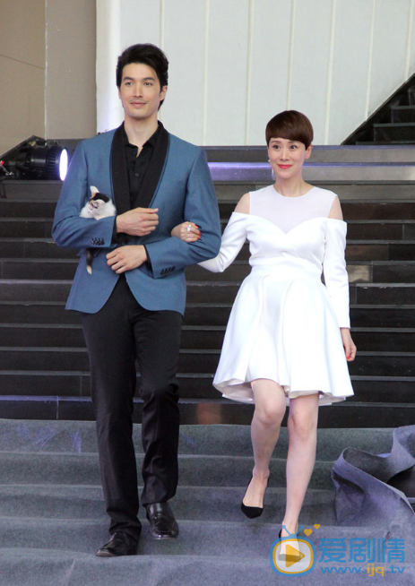 海清活动照 海清高清写真_海清高清剧照