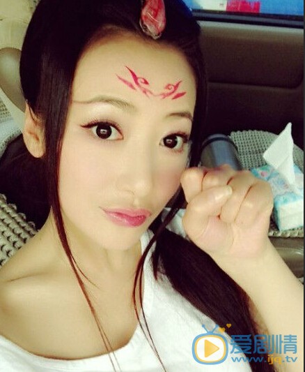 陈紫函和老公戴向宇结婚照 陈紫函个人资料介绍简介陈紫函高清照片