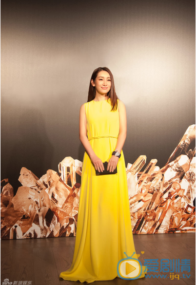 秦海璐活动照 秦海璐高清写真_秦海璐高清剧照