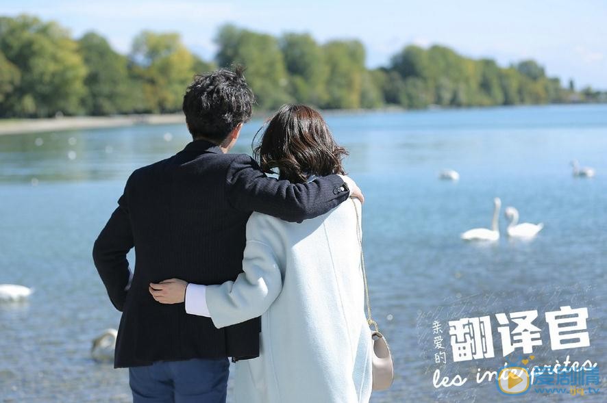 翻译官海报