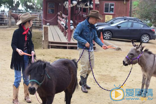 周冬雨我们相爱吧 周冬雨高清写真_周冬雨高清剧照
