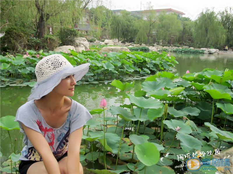陶昕然旅游照 陶昕然高清写真_陶昕然高清剧照