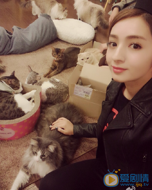 麦迪娜生活照 麦迪娜高清写真_麦迪娜高清剧照