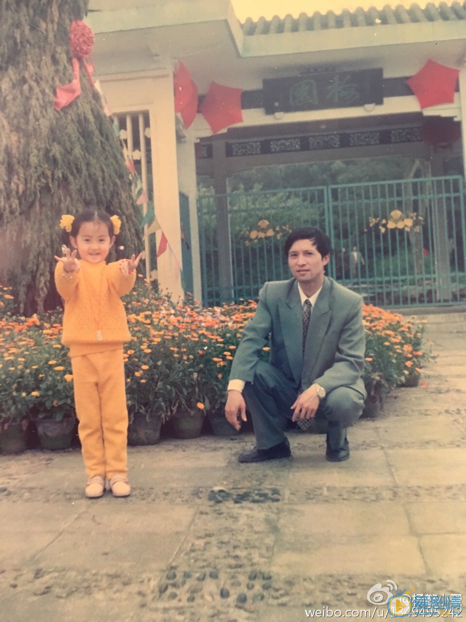 杨懿童年照 杨懿高清写真_杨懿高清剧照