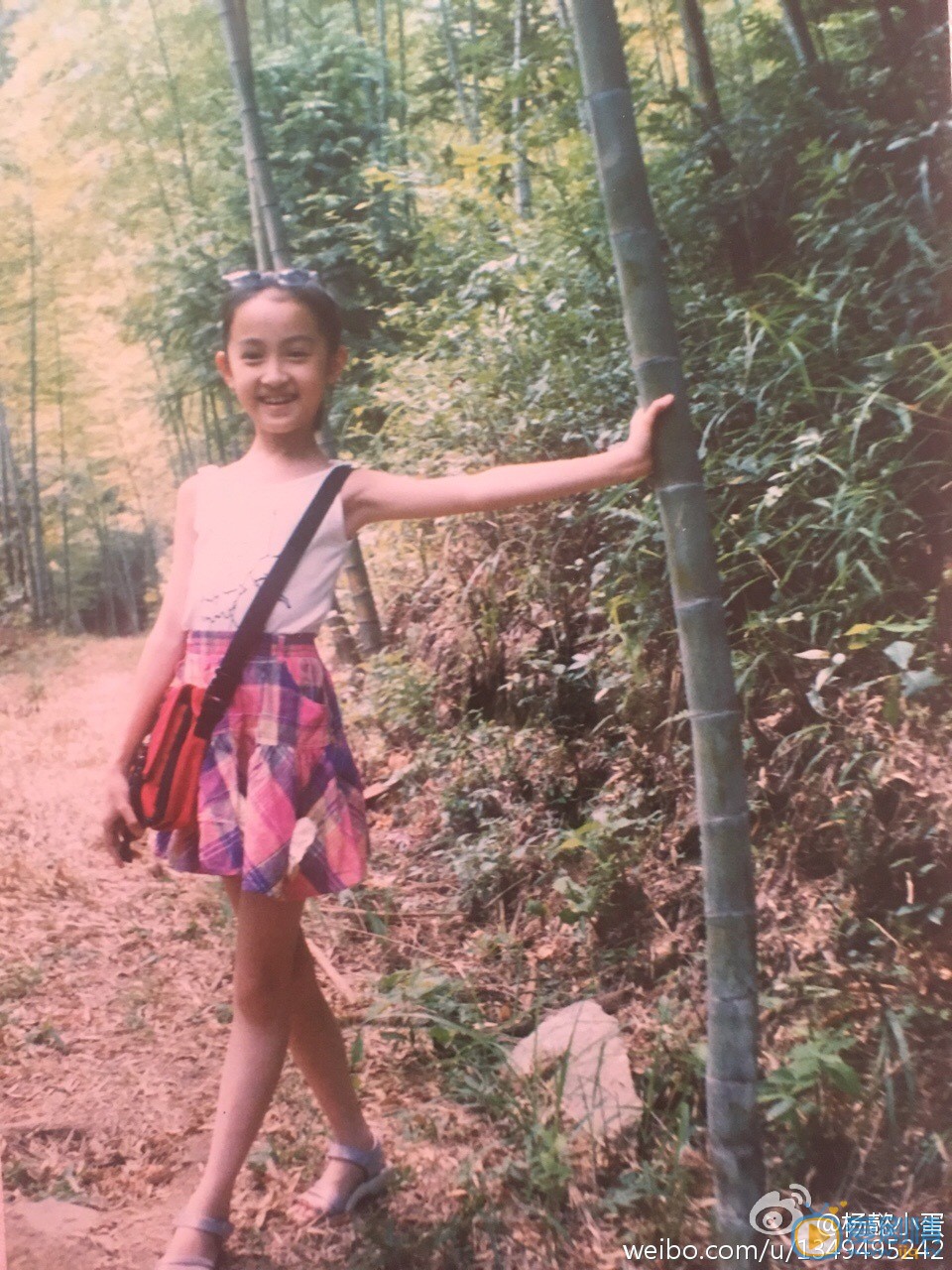 杨懿童年照 杨懿高清写真_杨懿高清剧照