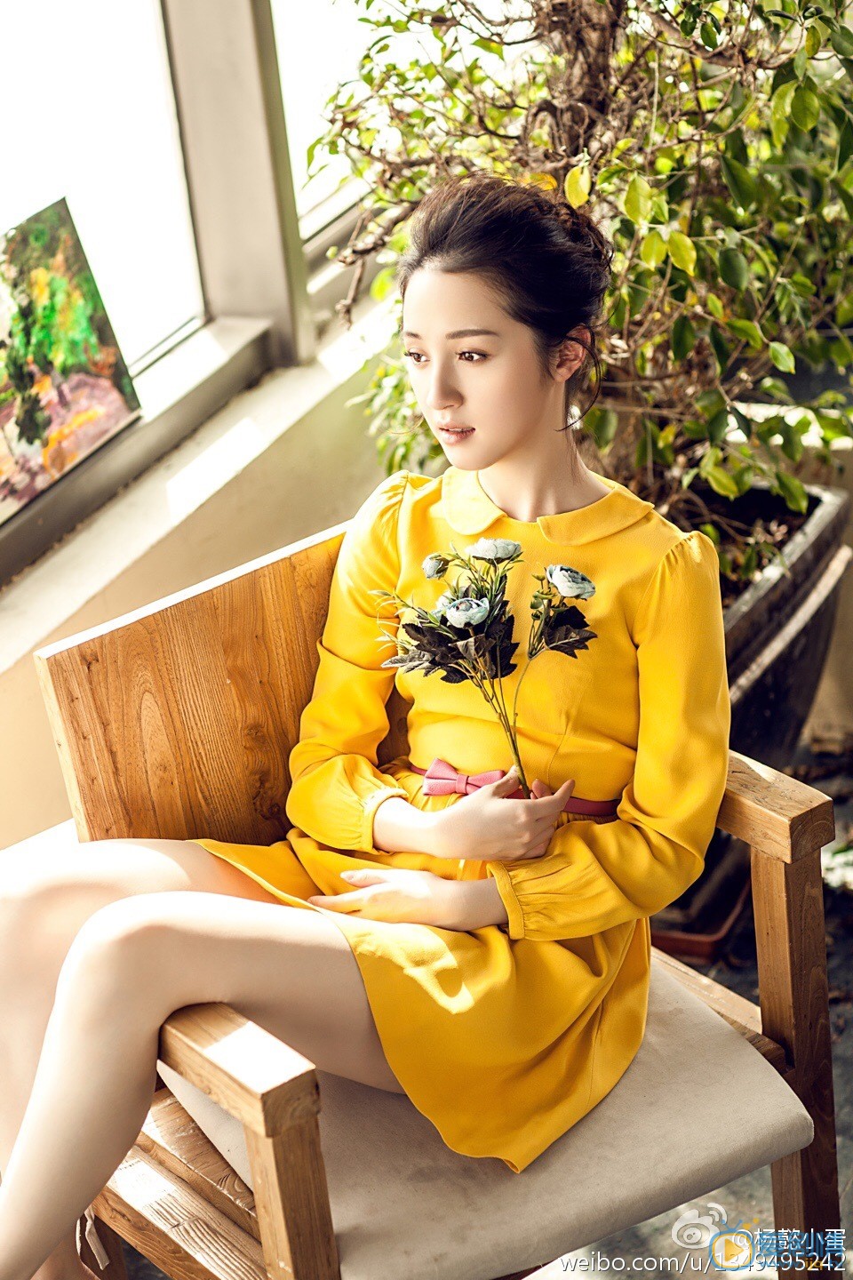 杨懿写真 杨懿高清写真_杨懿高清剧照
