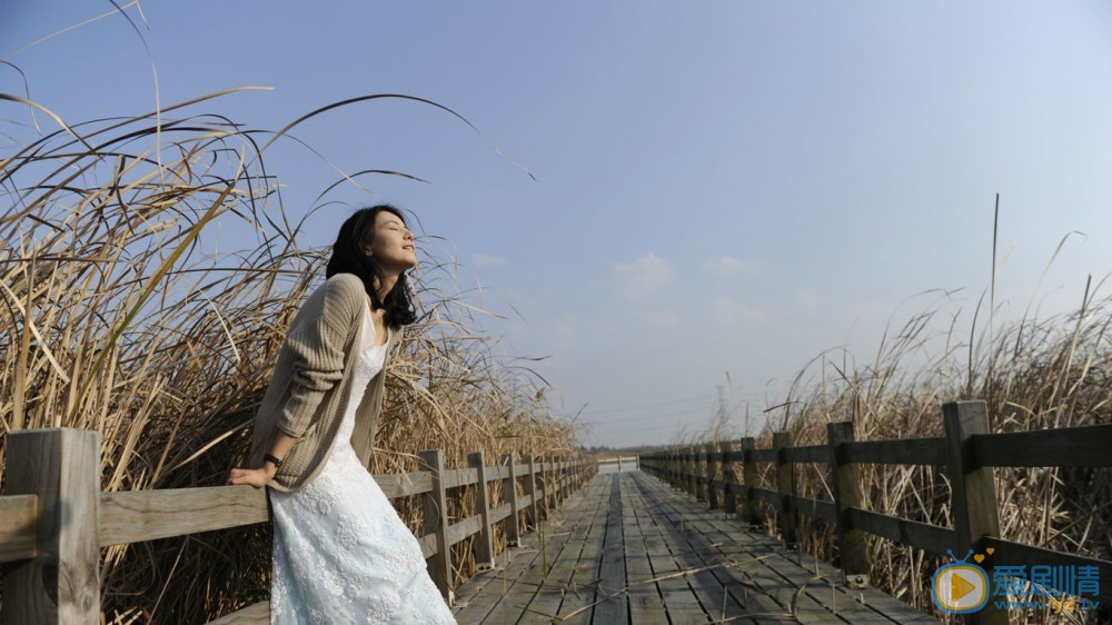 高圆圆《搜索》剧照 高圆圆高清写真_高圆圆高清剧照