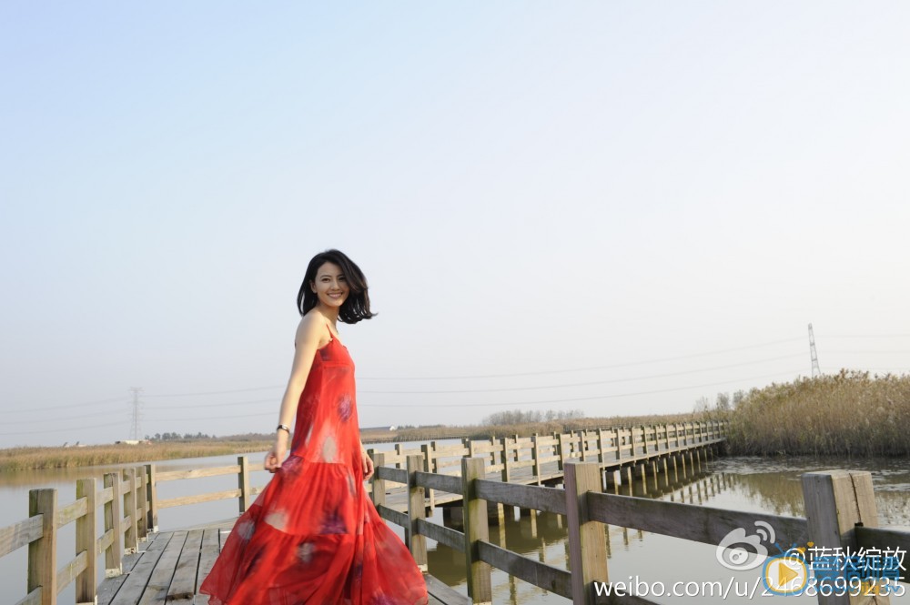 高圆圆《搜索》剧照 高圆圆高清写真_高圆圆高清剧照