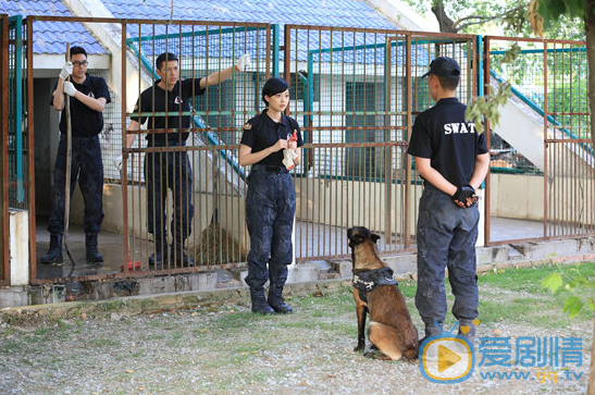王妍之特警力量剧照 王妍之高清写真_王妍之高清剧照