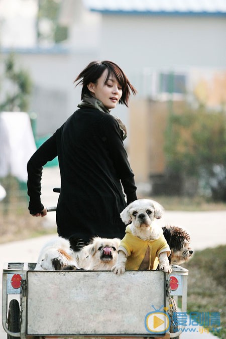 孙俪广告代言 孙俪高清写真_孙俪高清剧照