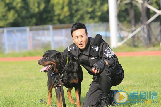 于和伟《警花与警犬》剧照 于和伟高清写真_于和伟高清剧照
