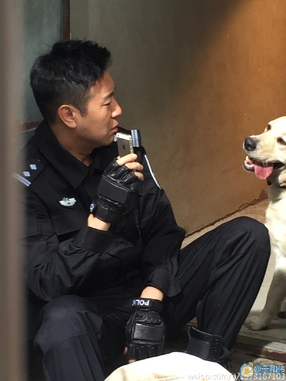于和伟《警花与警犬》剧照 于和伟高清写真_于和伟高清剧照