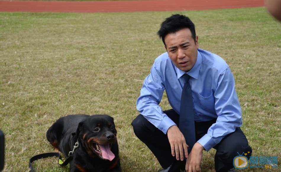 于和伟《警花与警犬》剧照 于和伟高清写真_于和伟高清剧照