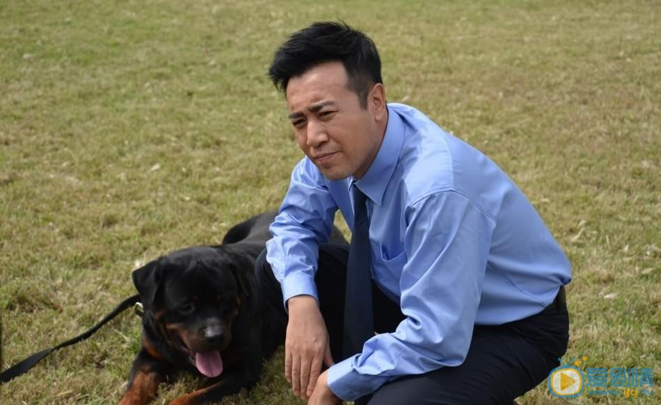 于和伟《警花与警犬》剧照 于和伟高清写真_于和伟高清剧照