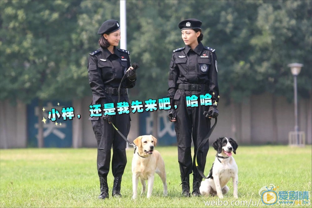 侯梦莎《警花与警犬》剧照 侯梦莎高清写真_侯梦莎高清剧照