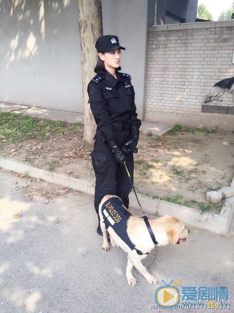 侯梦莎《警花与警犬》剧照 侯梦莎高清写真_侯梦莎高清剧照
