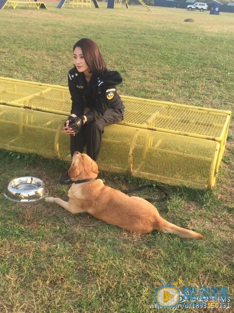 侯梦莎《警花与警犬》剧照 侯梦莎高清写真_侯梦莎高清剧照