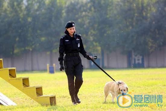 侯梦莎《警花与警犬》剧照 侯梦莎高清写真_侯梦莎高清剧照