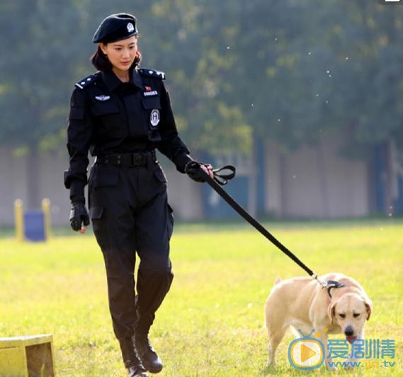 侯梦莎《警花与警犬》剧照 侯梦莎高清写真_侯梦莎高清剧照