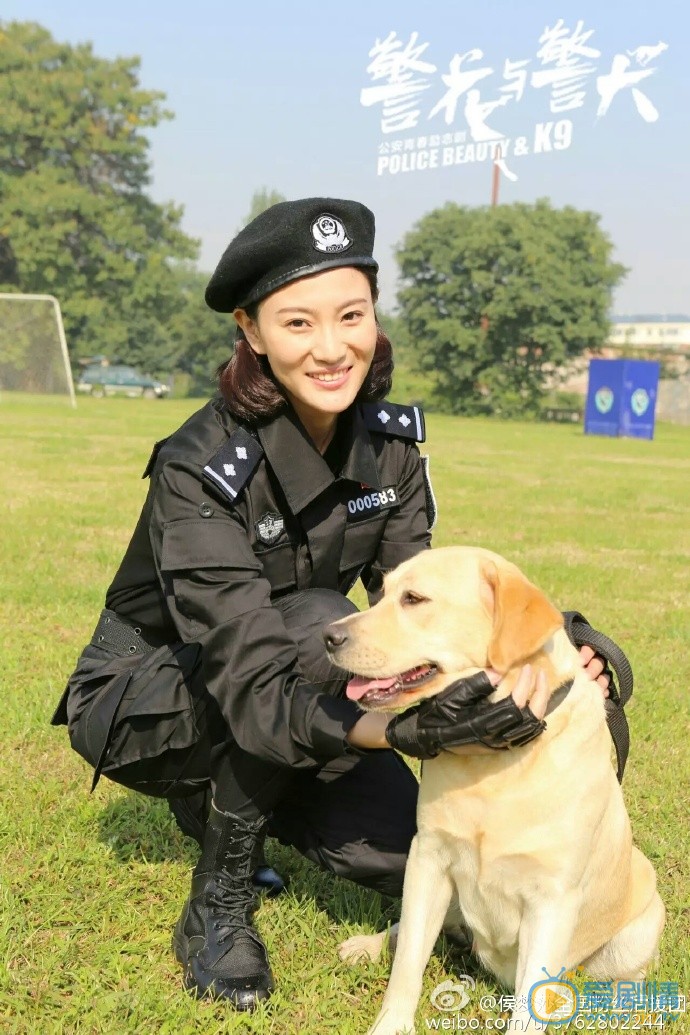侯梦莎《警花与警犬》剧照 侯梦莎高清写真_侯梦莎高清剧照