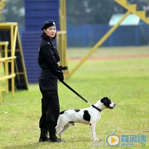侯梦莎《警花与警犬》剧照 侯梦莎高清写真_侯梦莎高清剧照