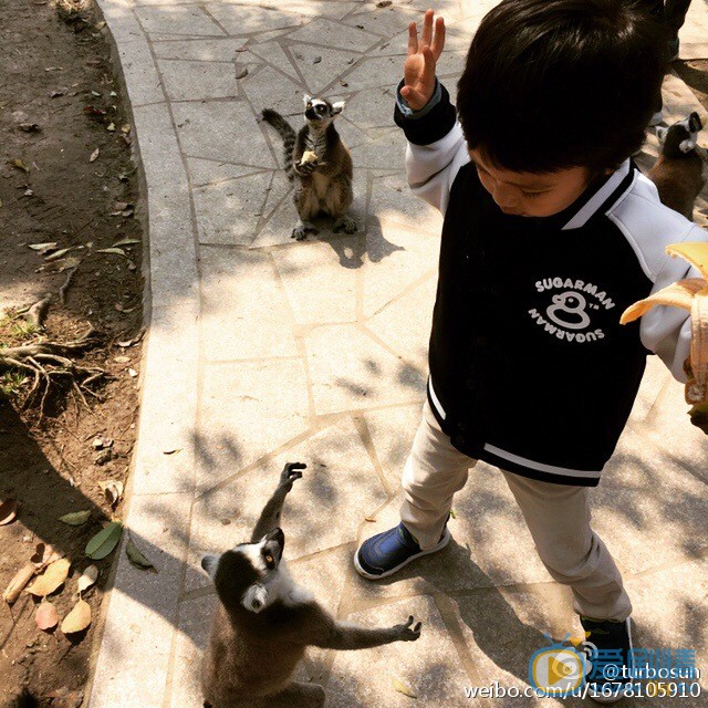 孙俪等等和小花 孙俪高清写真_孙俪高清剧照