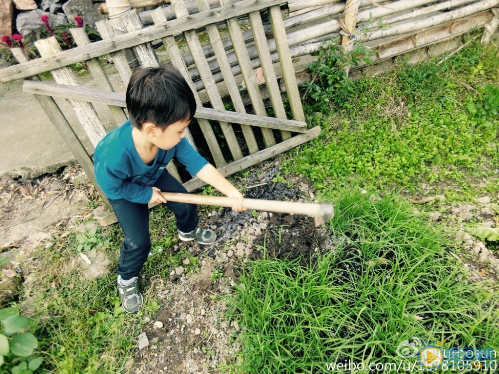 孙俪等等和小花 孙俪高清写真_孙俪高清剧照