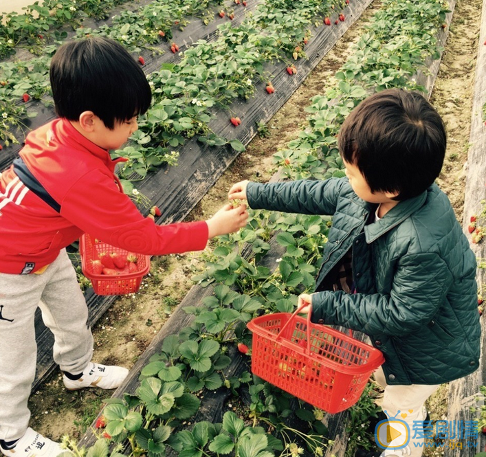 孙俪等等和小花 孙俪高清写真_孙俪高清剧照