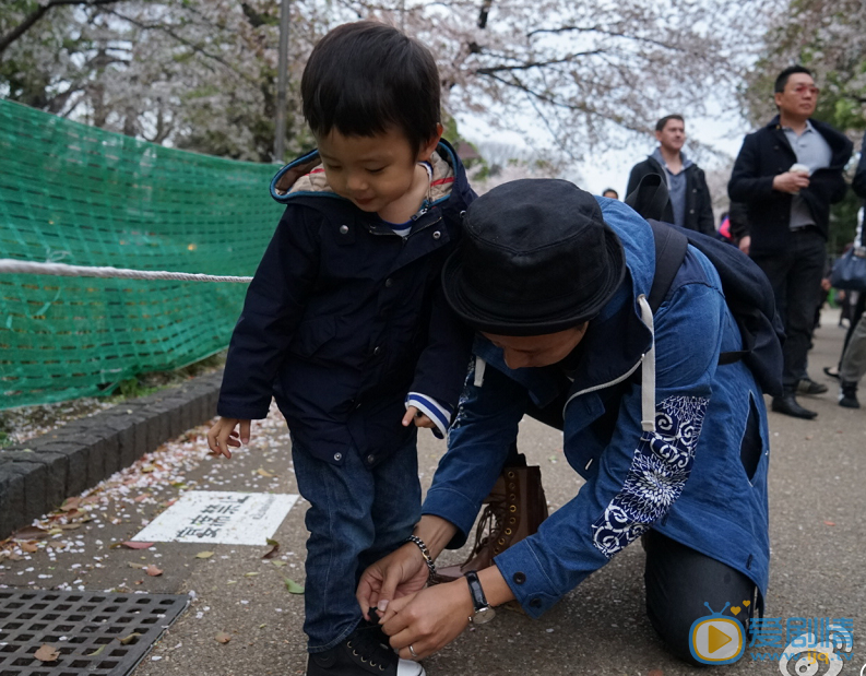 孙俪等等和小花 孙俪高清写真_孙俪高清剧照
