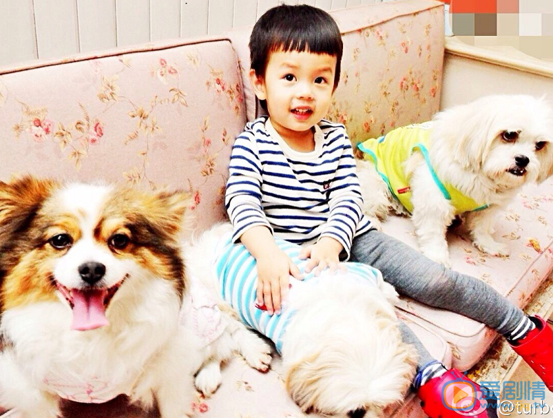 孙俪等等和小花 孙俪高清写真_孙俪高清剧照