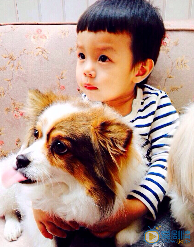 孙俪等等和小花 孙俪高清写真_孙俪高清剧照
