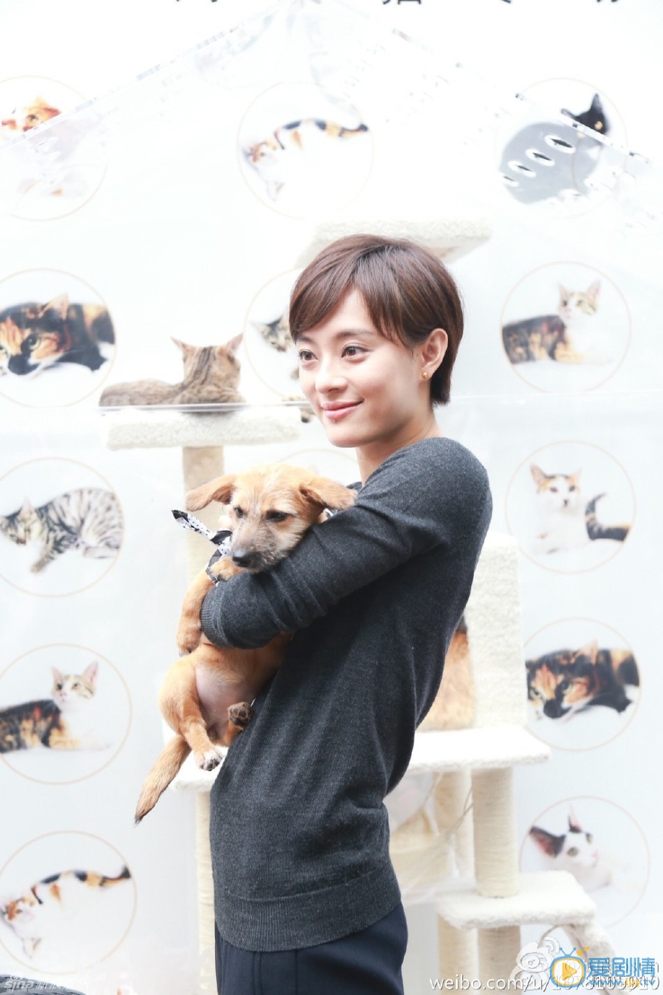 孙俪活动照 孙俪高清写真_孙俪高清剧照