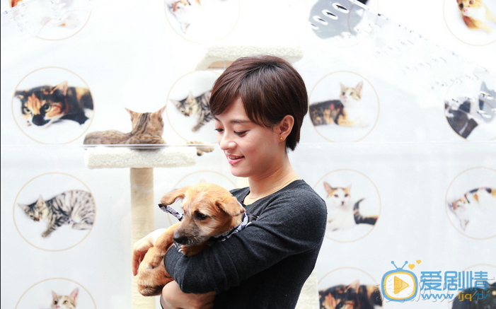 孙俪活动照 孙俪高清写真_孙俪高清剧照