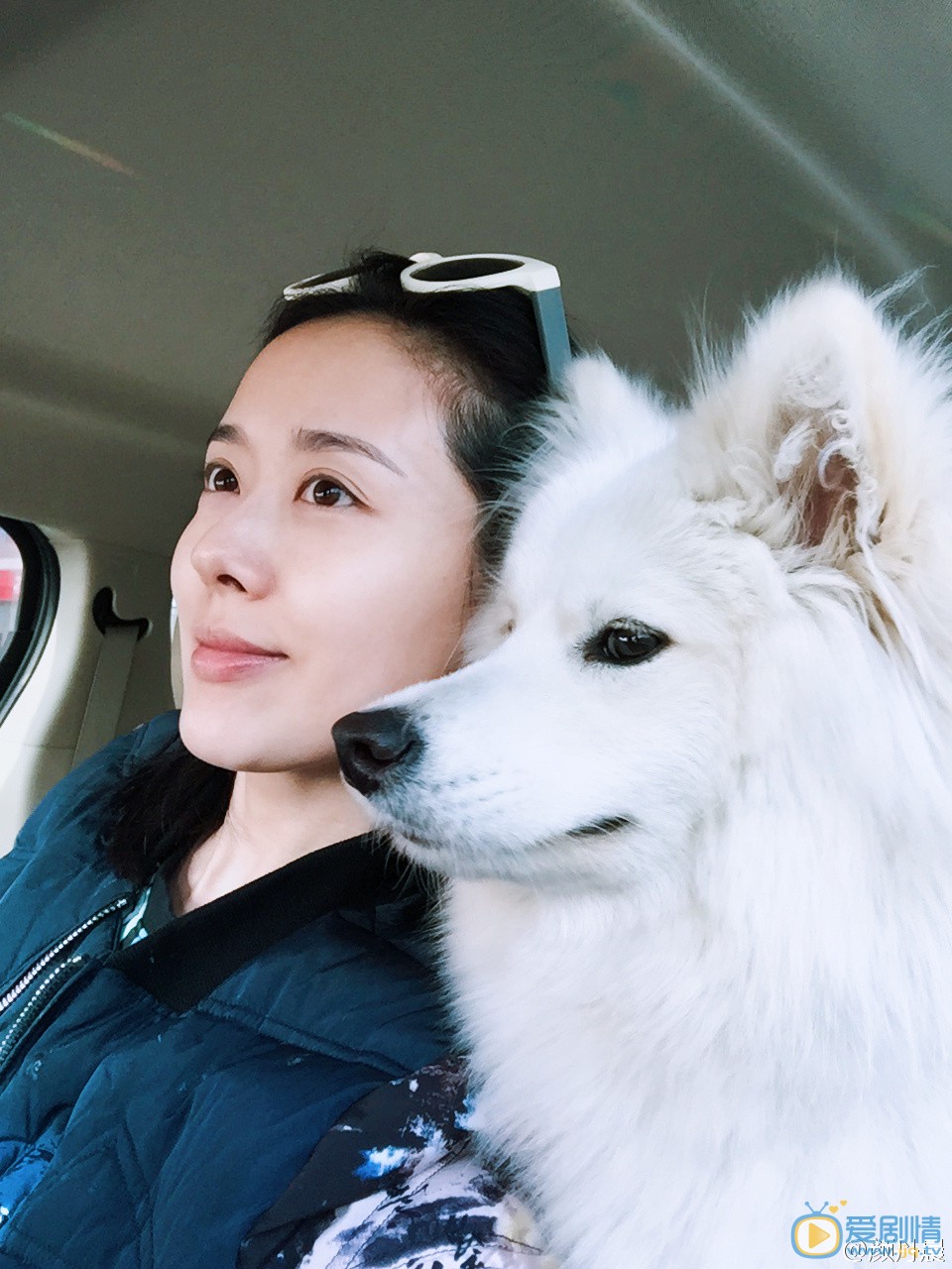 颜丹晨逗比表情包 颜丹晨高清写真_颜丹晨高清剧照
