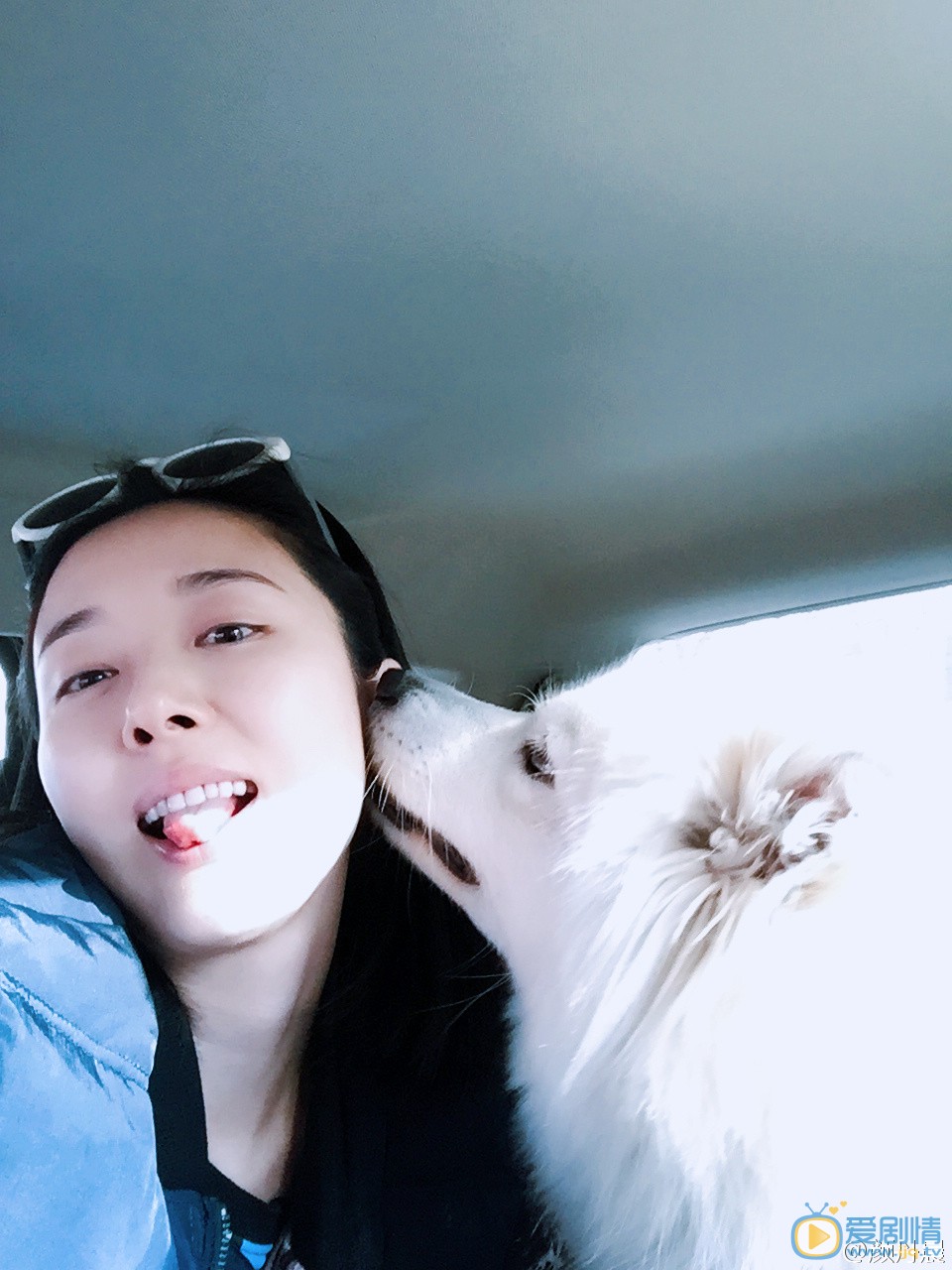 颜丹晨逗比表情包 颜丹晨高清写真_颜丹晨高清剧照