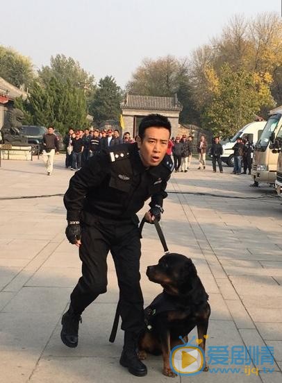 于和伟《警花与警犬》剧照 于和伟高清写真_于和伟高清剧照