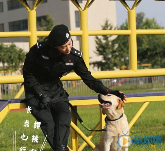 侯梦莎《警花与警犬》剧照 侯梦莎高清写真_侯梦莎高清剧照