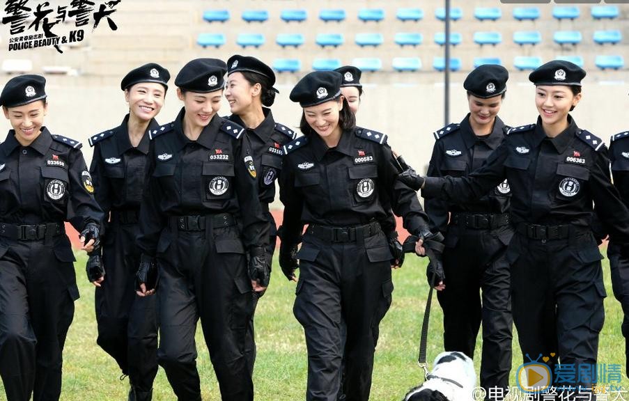 黄梦莹《警花与警犬》剧照 黄梦莹高清写真_黄梦莹高清剧照