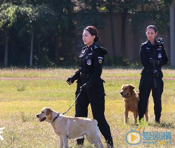 黄梦莹《警花与警犬》剧照 黄梦莹高清写真_黄梦莹高清剧照
