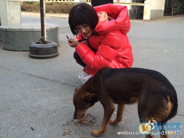 林源微博自拍 林源高清写真_林源高清剧照