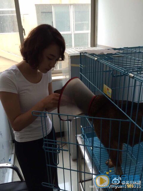 林源微博自拍 林源高清写真_林源高清剧照