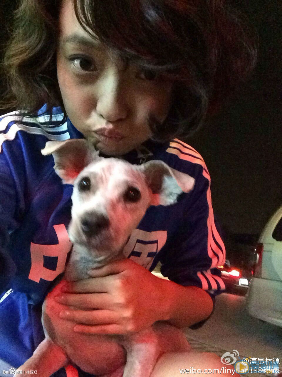 林源生活照 林源高清写真_林源高清剧照