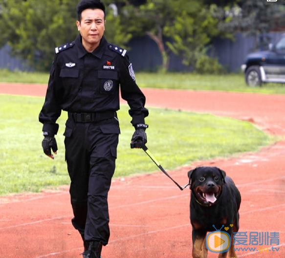 警花与警犬中于和伟扮演什么角色?于和伟的警犬妞妞是什么品种?