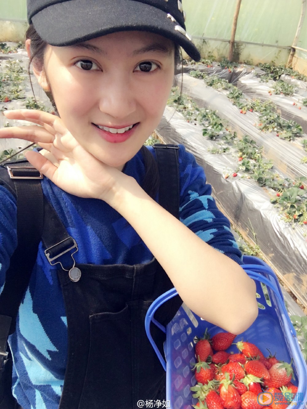 杨净如生活照 杨净如高清写真_杨净如高清剧照