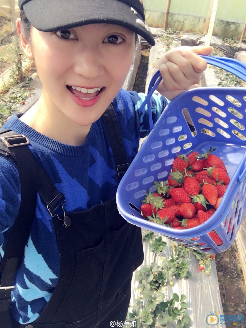 杨净如生活照 杨净如高清写真_杨净如高清剧照